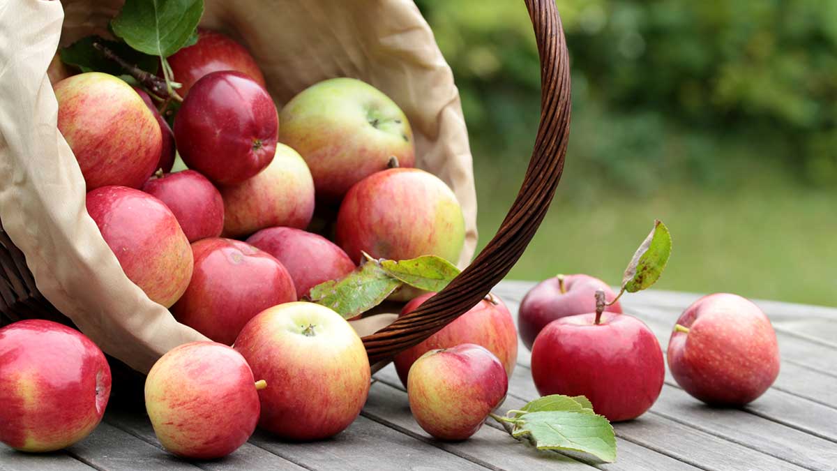 Basket of fresh apples on table