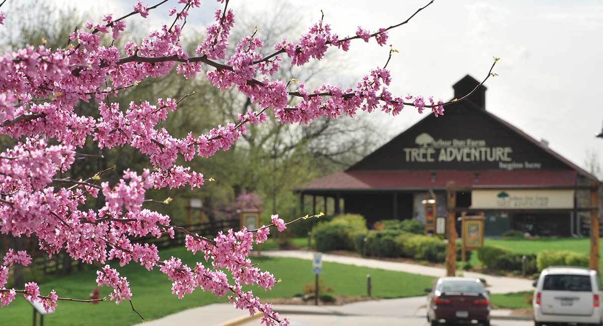 Arbor Day Farm in the spring