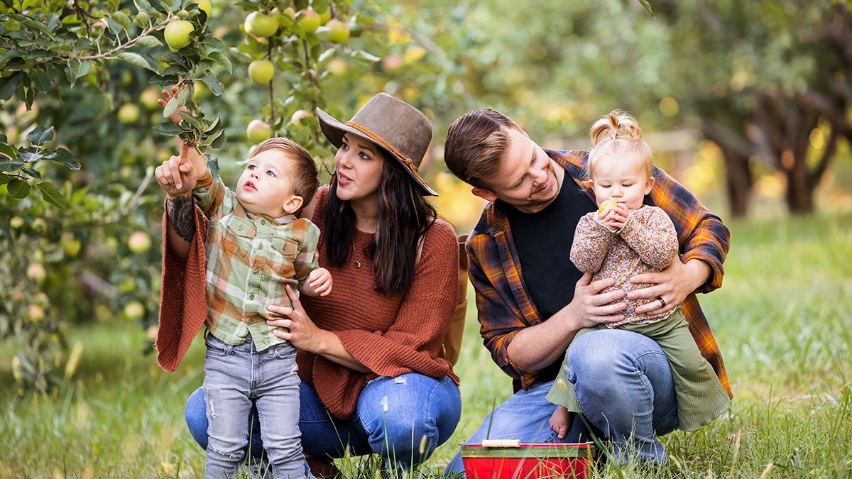 Picking apples in the Arbor Day Farm Orchard