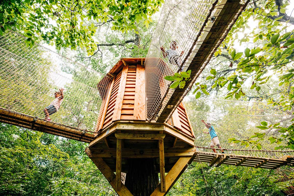 Treehouse viewed from below at Treetop Village