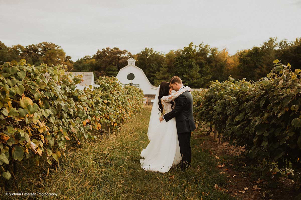 Fall Wedding Portraits in the Apple Orchard