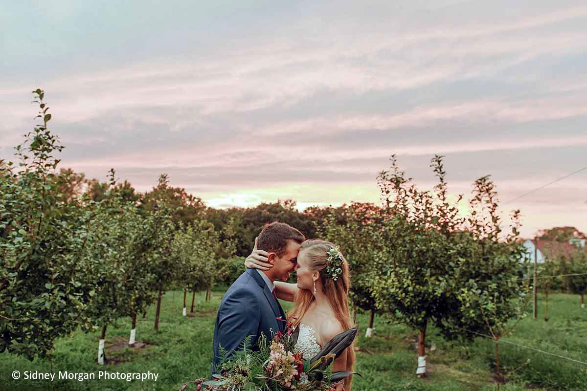 Wedding Couple Takes Sunset Portraits in the Orchard
