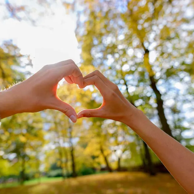 Two hands forming a heart shape against trees in the background.