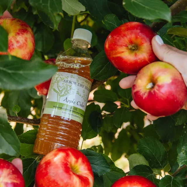 A bottle of Arbor Day Farm apple cider is nestled among vibrant red apples on a tree, with a hand holding two apples nearby.