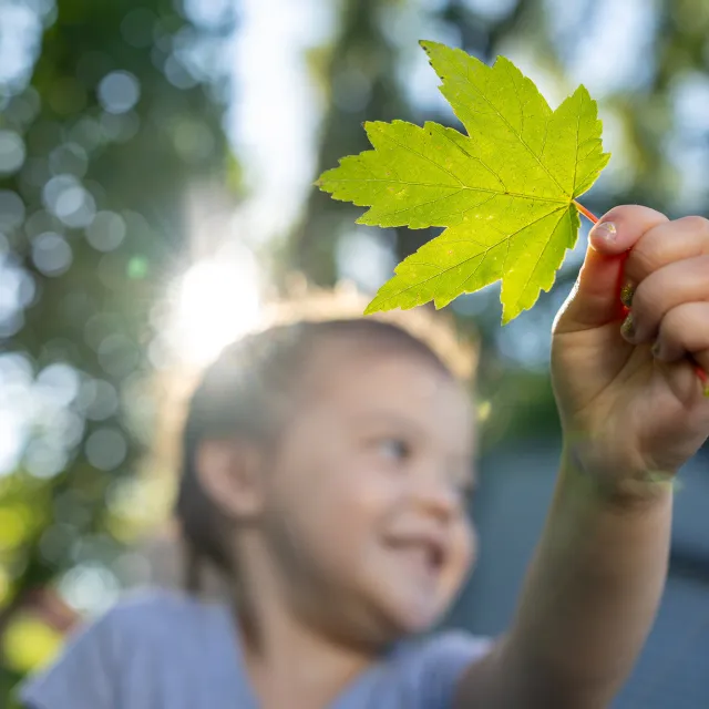 Child holding up a green maple leaf outdoors with sunlight and trees in the blurred background.