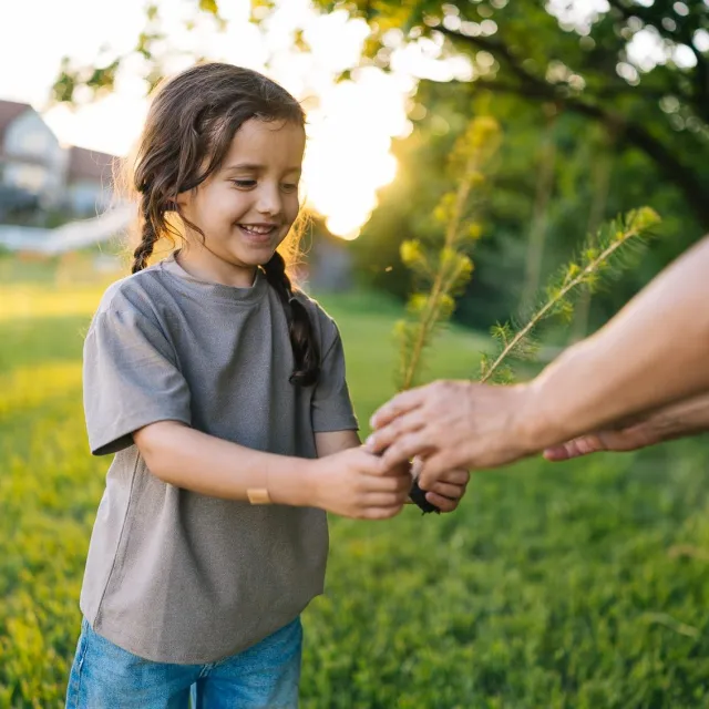 Little girl with braids in a t-shirt and jeans outside being handed a tree sapling by an adult in the sun.