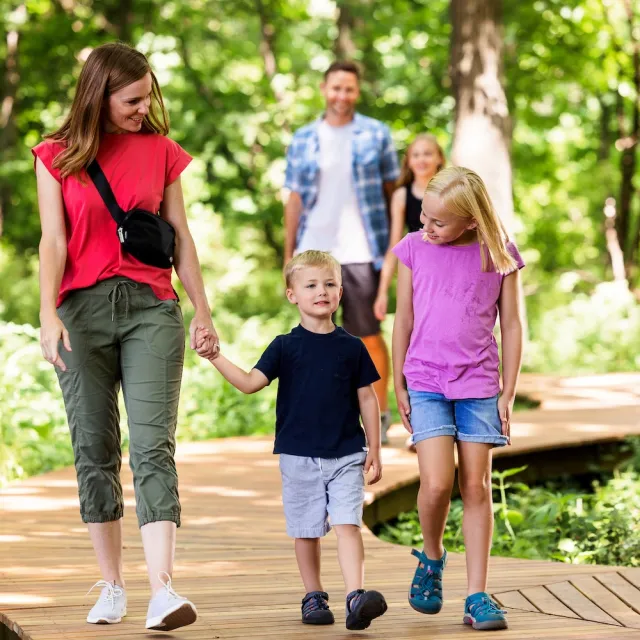 A family of five walking on a curved wooden path surrounded by lush green trees in a forest.