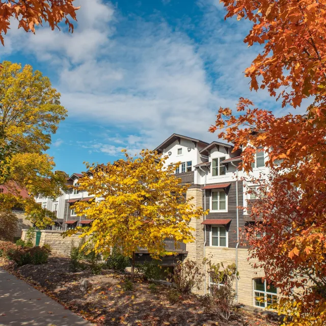 Autumn foliage in vibrant yellow and orange surrounds a modern residential building under a partly cloudy blue sky.