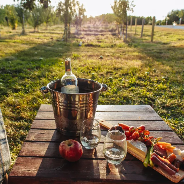 Wine bottle chilling in an ice bucket on a wooden table with two glasses, an apple, and a charcuterie board in a sunlit outdoor setting.
