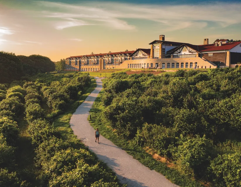 Aerial view of a long white path winding through green orchards leading to a large building and a fire pit seating area.