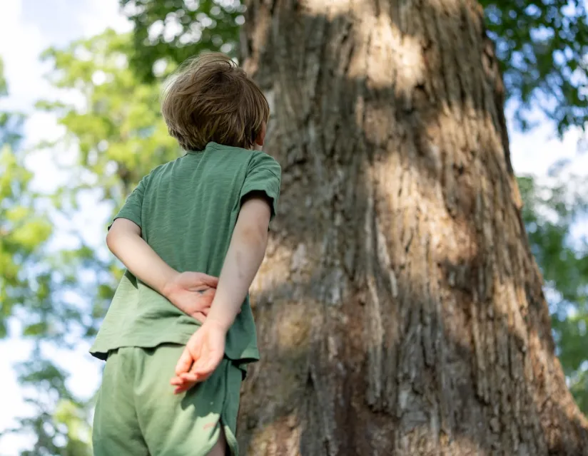 Child in green outfit looks up at the large trunk of a towering tree in a sunlit forest setting.