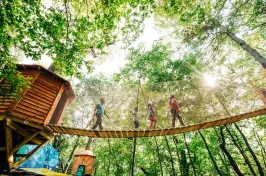 A group of people cross a rope bridge among lush green trees, sunlight filtering through the leaves, conveying a sense of adventure and joy.