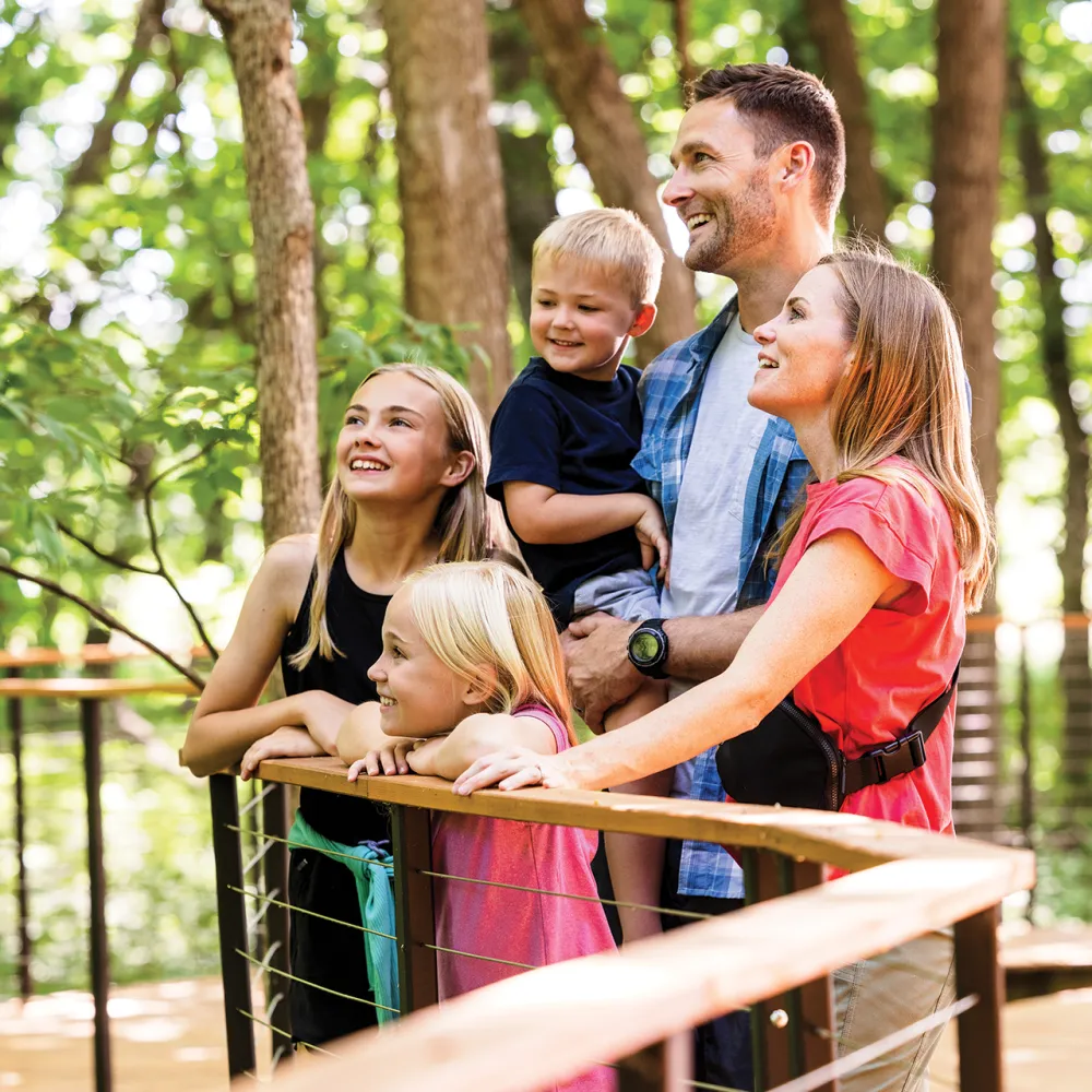 Family looking up at trees on walkway