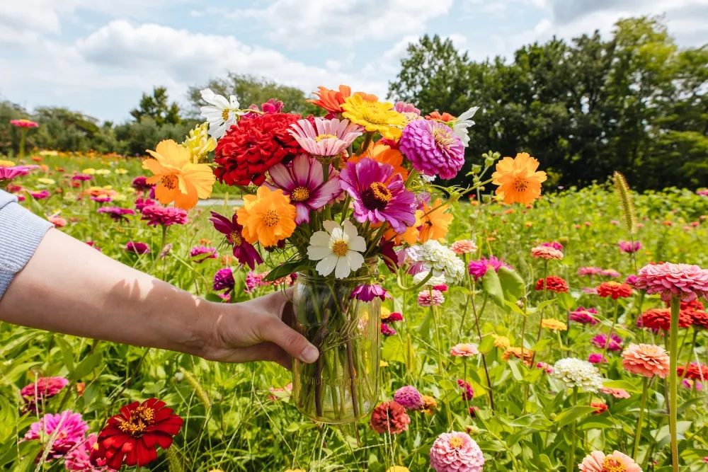 A hand holds a glass vase filled with a colorful bouquet of flowers, with a field of blooming flowers and green trees in the background.