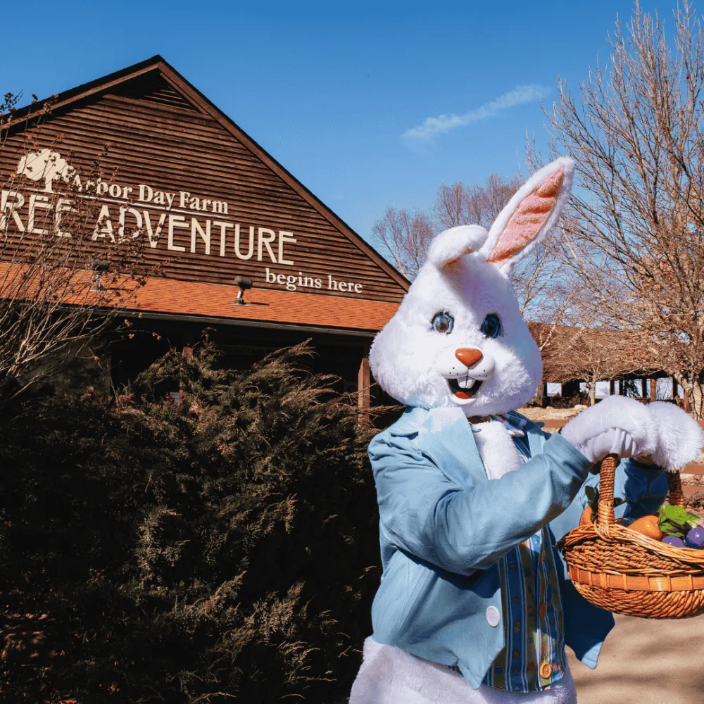 Easter bunny standing in front of a wooden building outside holding a basket of easter eggs.