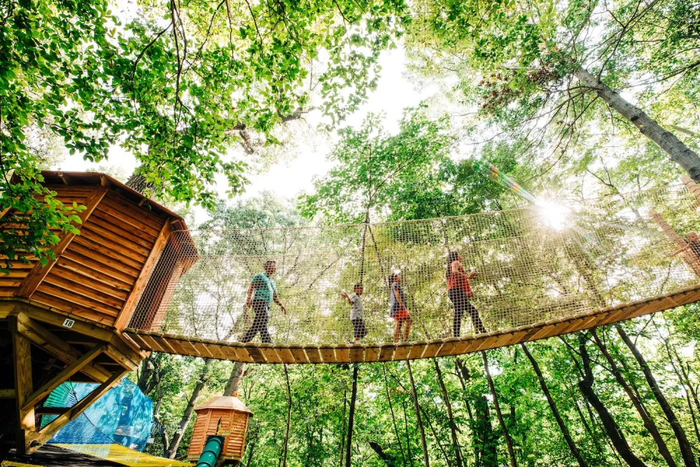 A group of people cross a rope bridge among lush green trees, sunlight filtering through the leaves, conveying a sense of adventure and joy.