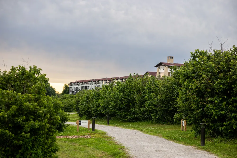 Gravel path through dense green bushes with a directional sign, under a cloudy sky and buildings in the background.