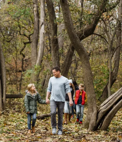 tree adventure