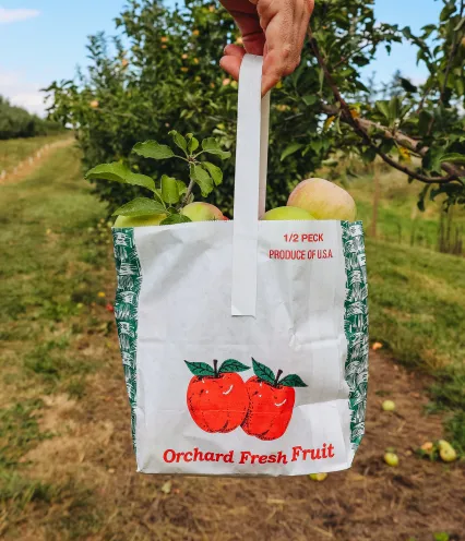 A hand holds a white bag labeled "Orchard Fresh Fruit," filled with apples, amidst an orchard with green trees and fallen apples on the grass.