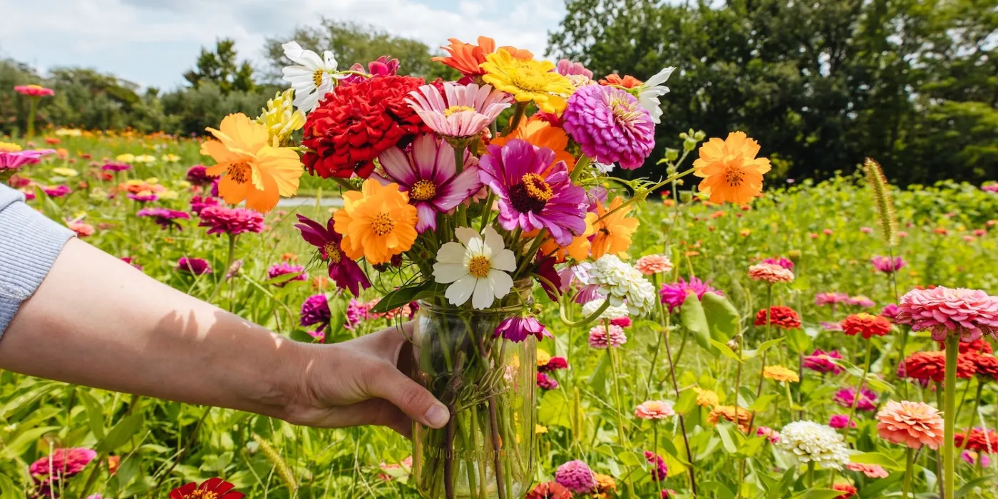 A hand holds a glass vase filled with a colorful bouquet of flowers, with a field of blooming flowers and green trees in the background.