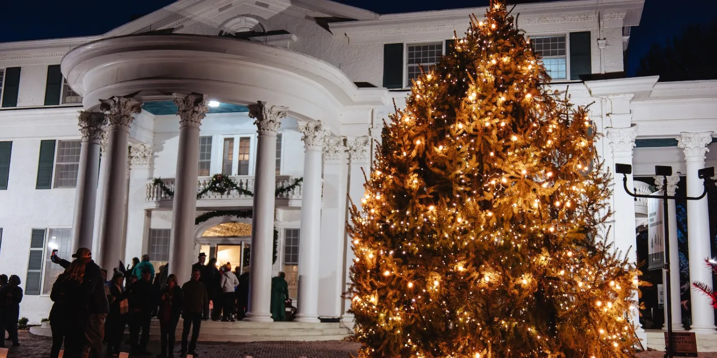 A lit Christmas tree stands in front of a grand, illuminated mansion as visitors gather at night, celebrating the festive season.