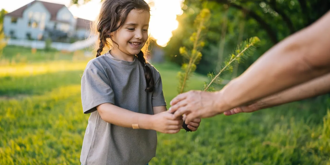 Little girl with braids in a t-shirt and jeans outside being handed a tree sapling by an adult in the sun.