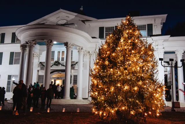 A lit Christmas tree stands in front of a grand, illuminated mansion as visitors gather at night, celebrating the festive season.