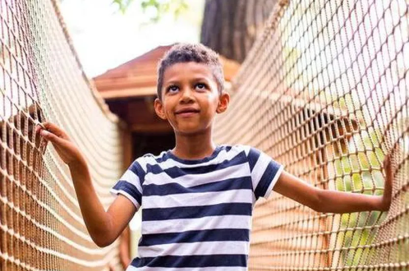 A child in a striped shirt stands on a rope bridge, surrounded by greenery and sunlight filtering through the trees.