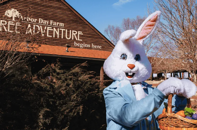 Easter bunny standing in front of a wooden building outside holding a basket of easter eggs.