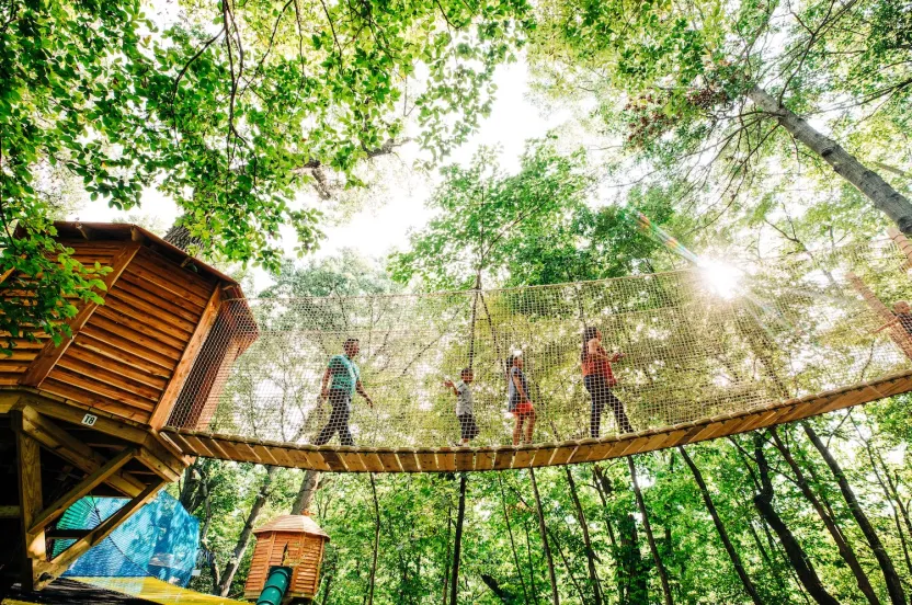 A group of people cross a rope bridge among lush green trees, sunlight filtering through the leaves, conveying a sense of adventure and joy.
