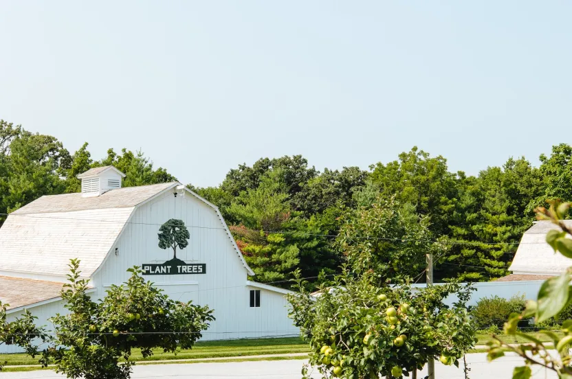 White barn with a "Plant Trees" sign surrounded by apple trees and dense green forest under a clear sky.
