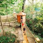 A wooden treehouse nestled among lush green trees, surrounded by nature and sunlight filtering through leaves.